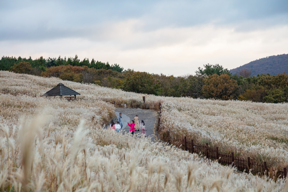 Sangumburi Crater (산굼부리) : VISITKOREA